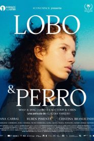 Wolf & Dog (Lobo & Perro)