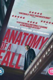 Anatomía de una caída