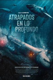 Atrapados en el abismo