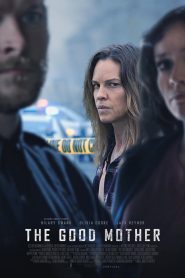 Detrás de la verdad (The Good Mother)