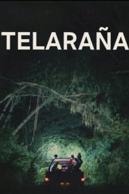 Telaraña (Birdeater)