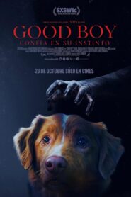 Good Boy: Confía en su instinto