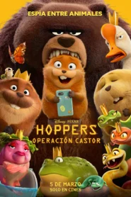 Hoppers