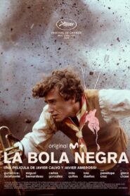 La bola negra