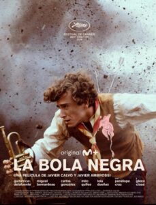 La bola negra